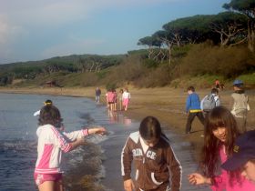 BARATTI GULF